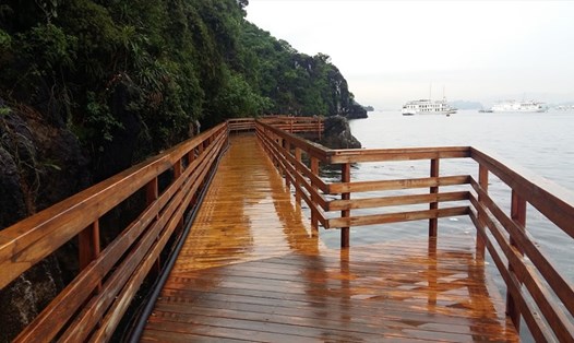 Toàn bộ hệ thống đường quanh đảo bằng xi măng đã được thay thế bằng gỗ thân thiện với môi trường. Ảnh: Nguyễn Hùng