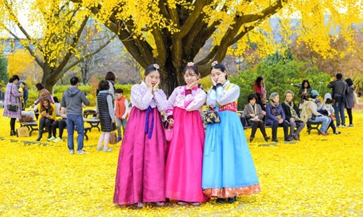 Mùa thu ở đảo Nami.