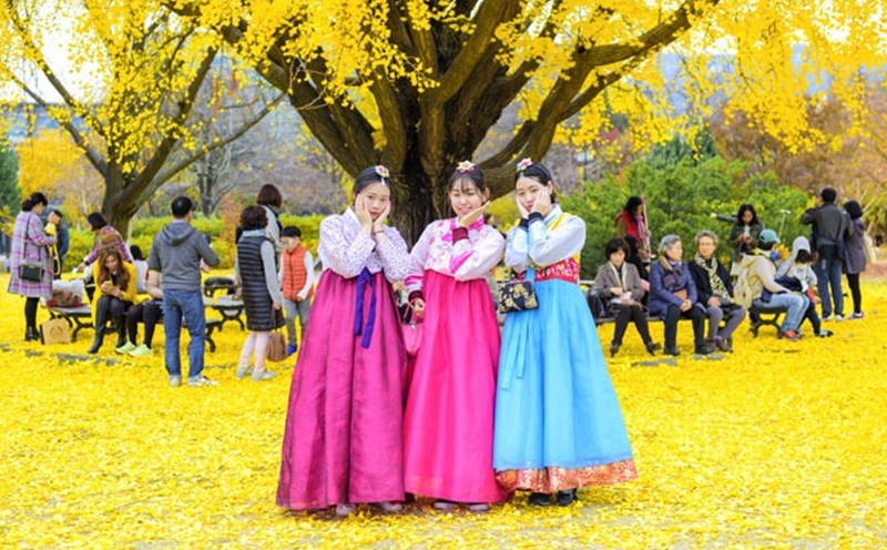 Mùa thu ở đảo Nami.