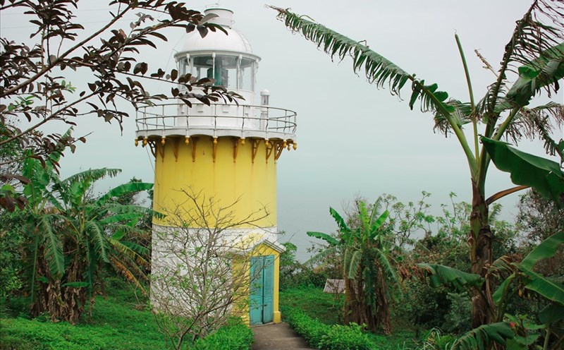 Check in 5 điểm đến thú vị ở Sơn Trà. Ảnh: XH