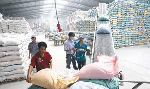 Xuất khẩu gạo của VN. Ảnh: PV
