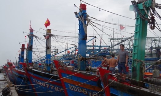 Người dân Nghệ An neo buộc tàu thuyền chống bão số 3. Ảnh: Viết Lam