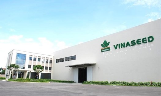Thiên ưu 8 là sản phẩm do Công ty giống cây trồng Trung ương VINASEED phân phối