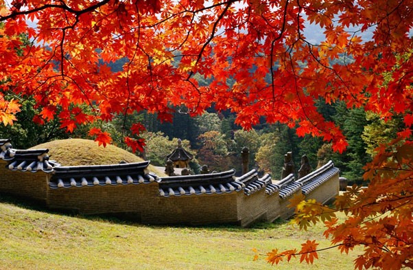 Say lòng trước vẻ đẹp Hàn Quốc mùa lá đỏ