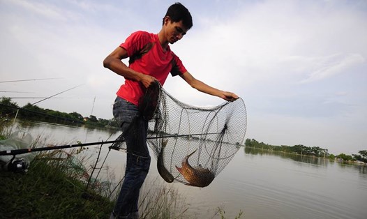 Thanh niên thu về cá lớn vừa câu được trên sông Nứa.