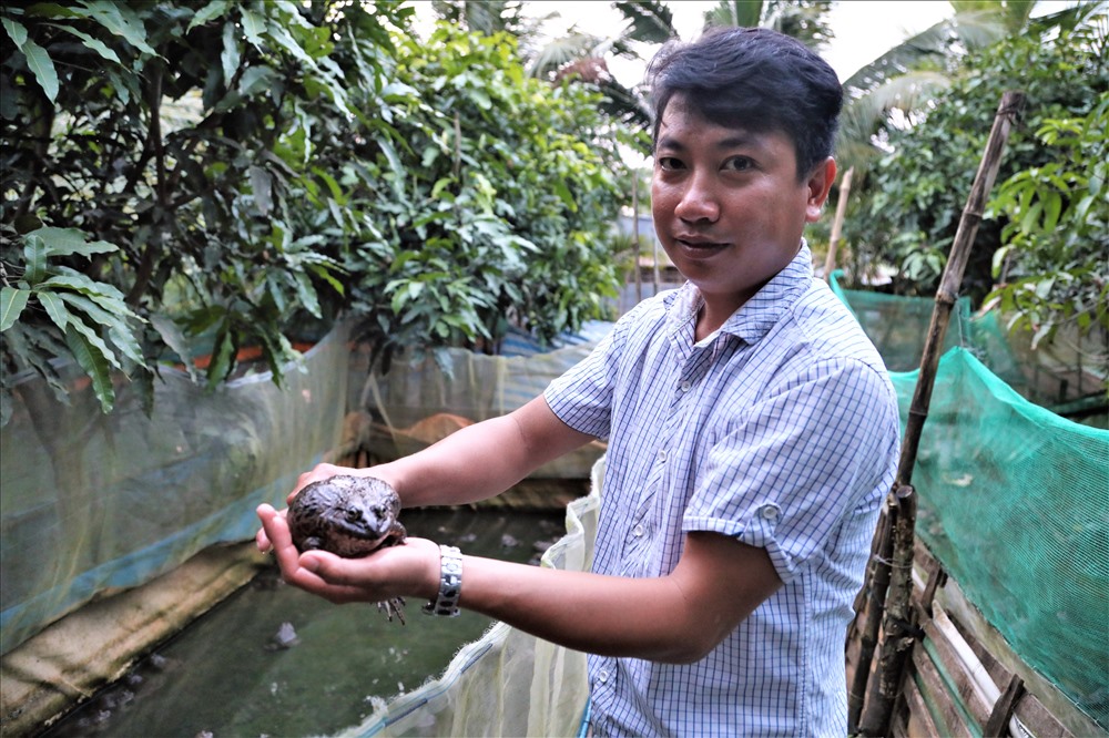 Phong bên trang trại nuôi ếch của mình. Ảnh: T.S