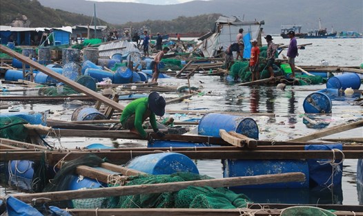 Nhiều lồng, bè nuôi trồng thủy sản bị thiệt hại nặng nề sau bão số 12 tại huyện Vạn Ninh, Khánh Hòa. Ảnh: P.V