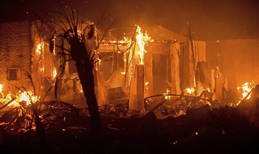 Cháy rừng ở California - Ảnh: AP