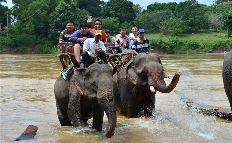 Voi Yok Don không còn phải cõng khách