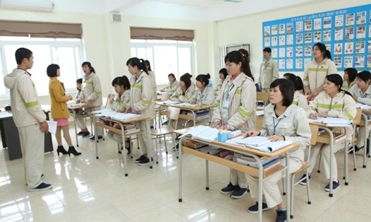 Đến năm 2020, Nhật Bản sẽ tiếp nhận 10.000 điều dưỡng viên Việt Nam. Ảnh: Dolab