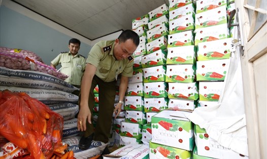 Cơ quan chức năng tỉnh Lâm Đồng đang kiểm đếm số lượng cà rốt, tỏi Trung Quốc nhập lậu.