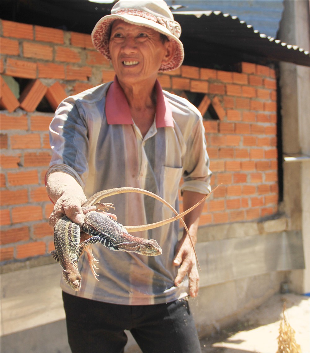 Ông Trịnh Lân, thôn Hòa Thủy xã Phước Hải, huyện Ninh Phước, tỉnh Ninh Thuận gắn bó gần 15 năm với nghề nuôi dông trên cát.