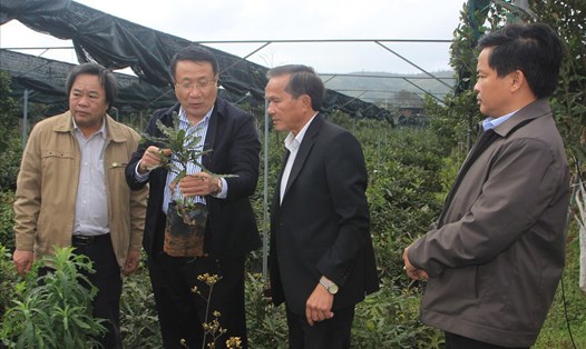Ông Đặng Trọng Vân (bìa phải ảnh) cùng ông Hà Sỹ Đồng - Phó Chủ tịch UBND tỉnh Quảng Trị (thứ 2 từ trái sang) kiểm tra vườn ươm cây giống tại Hướng Hóa. Ảnh: TIẾN NHẤT.