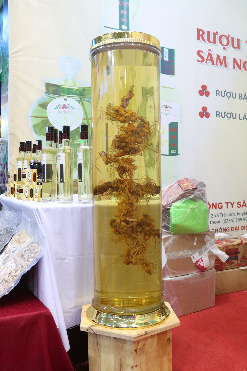 Thông qua Lễ hội, UBND huyện Nam Trà My mong muốn sẽ hình thành nét văn hóa sâm Ngọc Linh để tiến đến thành lập ngày Sâm Việt Nam. Ảnh: Đ.V