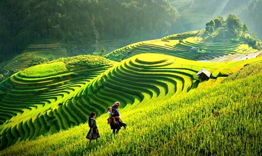 Mù Cang Chải là một điểm đến du lịch hấp dẫn của tỉnh Yên Bái. Ảnh: Oreen Travel.