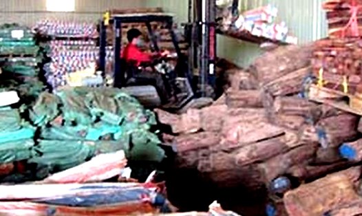 Gần 600 m3 gỗ trắc tang vật đã bị đem bán khi vụ án chưa kết thúc điều tra. Ảnh: B.C