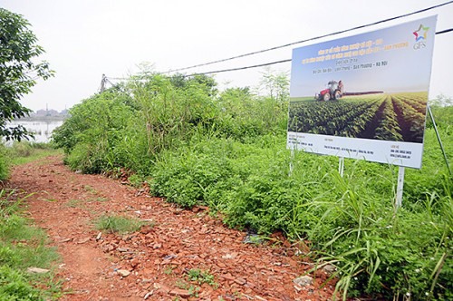 Dự án nông nghiệp hữu cơ công nghệ cao lại được cho phép xây dựng trên không gian thoát lũ thuộc bãi giữa sông Hồng. Ảnh: PV