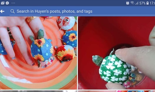 "Rùa hoa" đang được giới trẻ coi đây là món quà tặng ưng ý mà không ý thức được đang gây hại cho môi trường. Ảnh chụp màn hình FB.