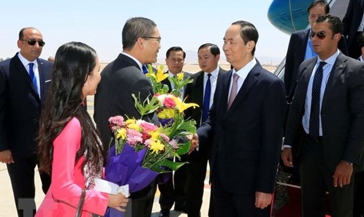 Các quan chức chính quyền tỉnh Luxor đón Chủ tịch Nước Trần Đại Quang và Phu nhân tại sân bay quốc tế Luxor. Ảnh: TTXVN. 