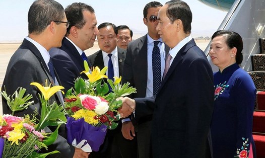 Lễ đón Chủ tịch Nước Trần Đại Quang và Phu nhân tại sân bay quốc tế Luxor (Ai Cập). Ảnh: TTXVN