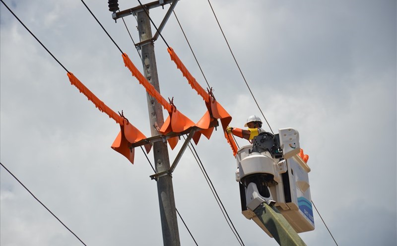 Hình ảnh công nhân thi công khi lưới điện chưa cắt.