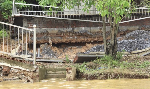 Bờ kè bê tông ở Cù lao Rùa cũng bị sạt lở xuống sông.