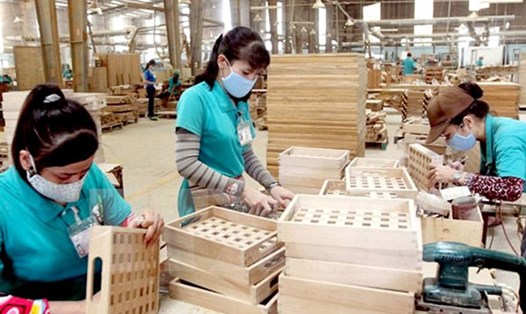 Các doanh nghiệp xuất khẩu gỗ của Việt Nam đang đứng trước thách thức lớn. Ảnh: PV 