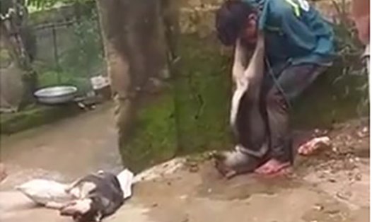 Một nam thanh niên ở Thanh Hóa bị người dân trói và treo chó vào cổ. Ảnh cắt từ clip.