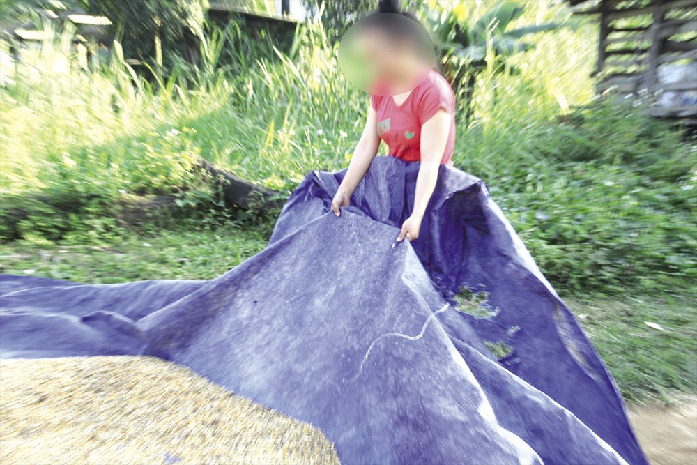 Bọn buôn người thường nhắm vào các cô gái trẻ nhẹ dạ cả tin rồi lừa bán qua Trung Quốc.