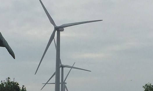 Phát triển điện gió góp phần đảm bảo an ninh năng lượng. Ảnh: ĐT