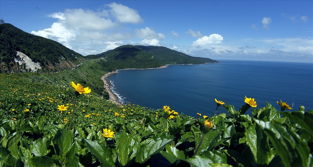 Tac pham Son Tra xanh tham gia trien lam - Ảnh: Trần Lê Xuân Vinh