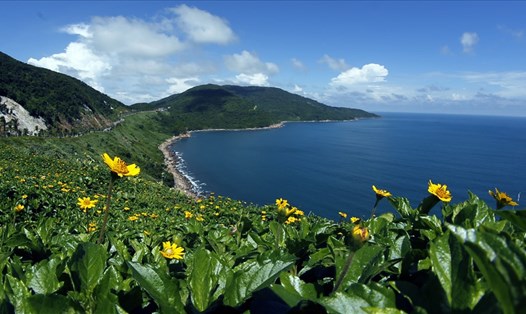 Tac pham Son Tra xanh tham gia trien lam - Ảnh: Trần Lê Xuân Vinh