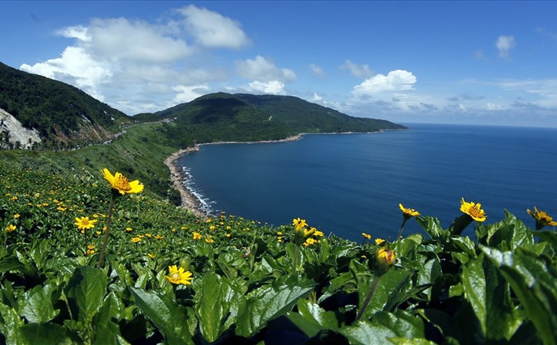 Tac pham Son Tra xanh tham gia trien lam - Ảnh: Trần Lê Xuân Vinh