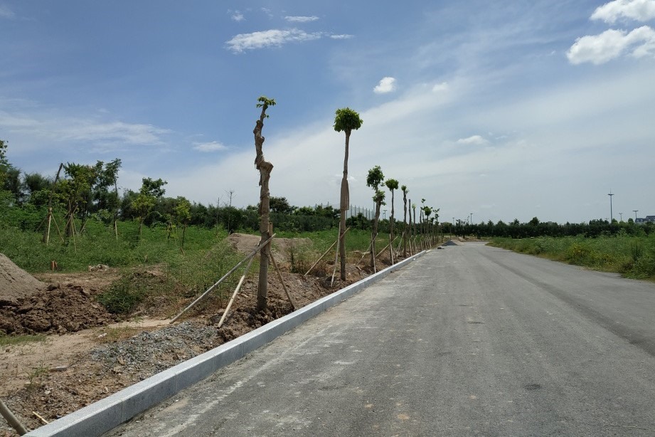 Khu đất xin chuyển đổi mới chỉ xây trục đường chính. Ảnh: V.GIANG