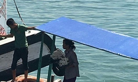 Một tàu bán hàng rong cập vào tàu du lịch để bán san hô cho du khách. Ảnh: Nguyễn Hùng