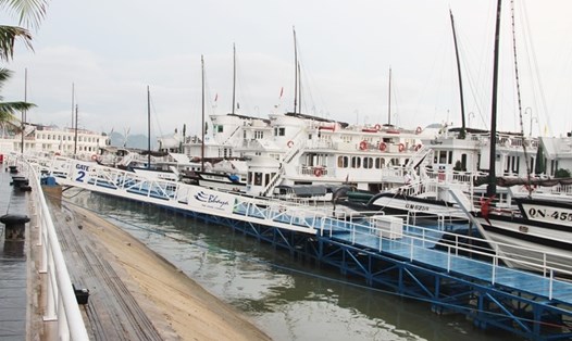 Tàu du lịch thăm vịnh Hạ Long và các phương tiện thủy sẽ bị cấm hoạt động ngày trong sáng 13.9 nhằm đảm bảo an toàn trước diễn biễn của bão số 5. Ảnh: QTV