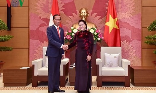 Chủ tịch Quốc hội Nguyễn Thị Kim Ngân và Tổng thống Indonesia. Ảnh: VOV. 