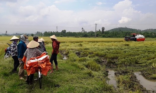 Chiếc máy gặt duy nhất tại thôn Quang Trung (Kỳ Xuân-Kỳ Anh-Hà Tĩnh) "chém" giá cao, khiến nhiều nông dân bức xúc. Ảnh: Trần Tuấn
