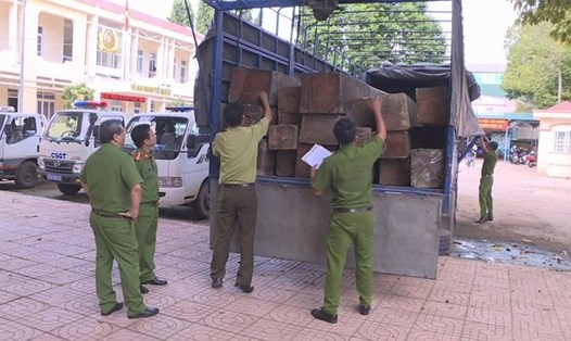 Hiện 31 hộp gỗ lậu đang được thu giữ để phục vụ điều tra.