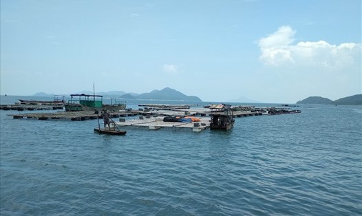 Khu vực quy hoạch vùng nuôi trồng thủy sản tại xã Tân Lập, huyện Đầm Hà (Quảng Ninh) đang được DN Trung Quốc đề xuất khai thác vật liệu để san lấp mặt bằng Khu công nghiệp Hải Hà. Ảnh: PV