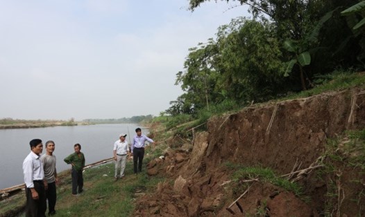 Nhiều đoạn bờ hữu sông Hồng ở xã Chu Minh, huyện Ba Vì bị sạt lở nghiêm trọng. Ảnh: Hanoimoi