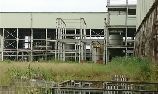 Dự án Nhiên liệu sinh học ethanol Phú Thọ - một trong 12 dự án yếu kém của ngành công thương - đang bị bỏ hoang. Ảnh: Đức Thành