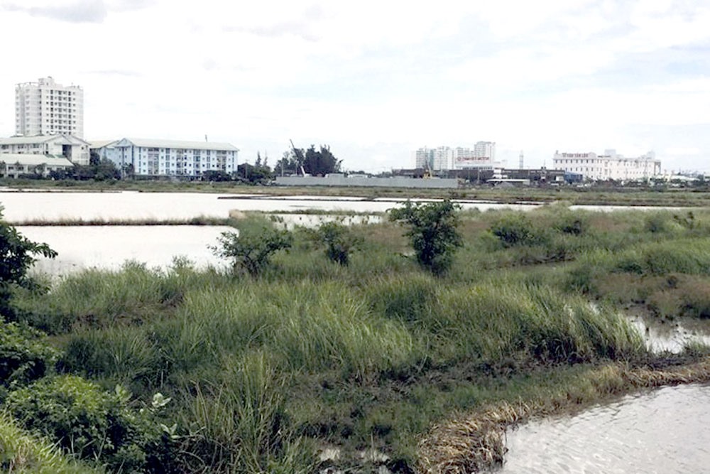 Suốt hơn 15 năm qua, 120ha đất quy hoạch làm Khu dân cư Thạnh Mỹ Lợi vẫn là dự án trên giấy. Ảnh: P.V