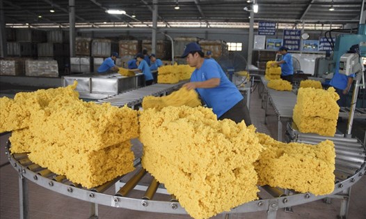 80% caosu thiên nhiên của Việt Nam được xuất khẩu dưới dạng thô. Đây là sự lãng phí. Ảnh: PV