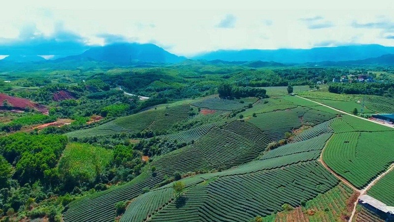 Thung lũng Đường Hoa nhìn từ không ảnh