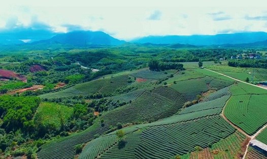 Thung lũng Đường Hoa nhìn từ không ảnh