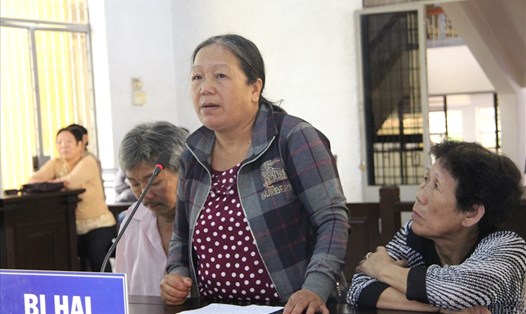 Bà Lan - mẹ nạn nhân từng bị Lộc sát hại - nhiều lần gửi hồ sơ chứng minh Lộc hoàn toàn tỉnh táo.