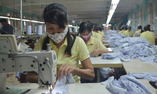 Hàng trăm lao động ở Cty CP may Quảng Ninh làm việc vất vả, nhưng chế độ và quyền lợi của họ không được doanh nghiệp quan tâm đầy đủ. Ảnh: T.N.D