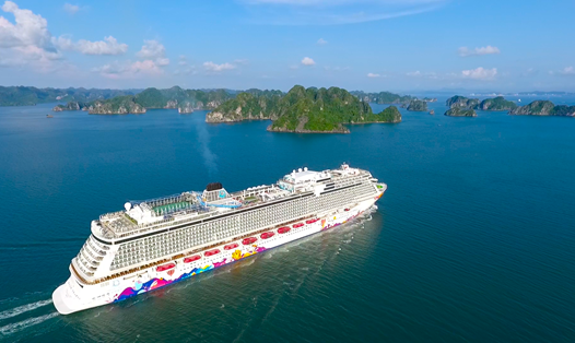 Cảnh đẹp “nín thở” khi siêu du thuyền quốc tế tiến vào vịnh Hạ Long. Ảnh: N.H
