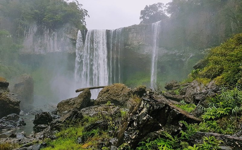 Ảnh: Nguyen Huu Que